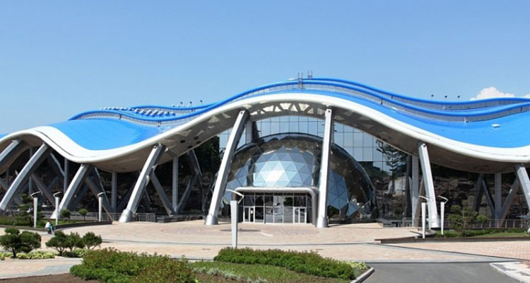Крупнейший в мире океанариум откроется на острове Русский в начале сентября