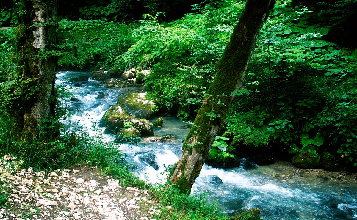 Чтобы насладиться красотами прекрасной Абхазии, можно отправиться на прогулку в Пцырхинский заповедник, также расположенный в границах города Новый Афон.