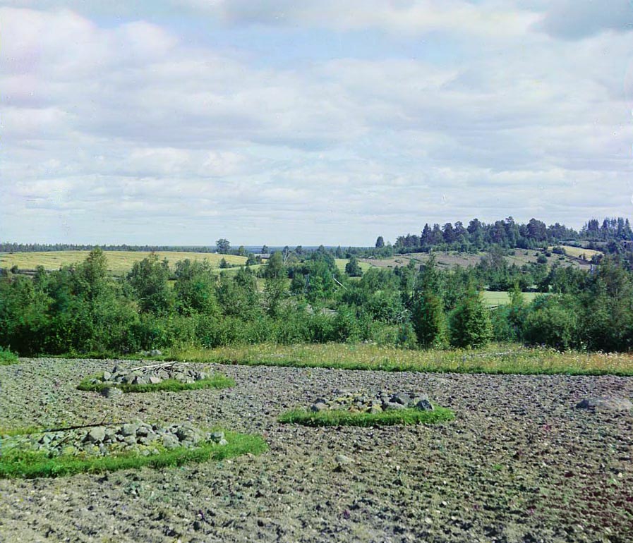 Пахатное поле у села Лижма. Кучи больших камней — ровницы (камни, собранные на пашне, от карельского raunivo)