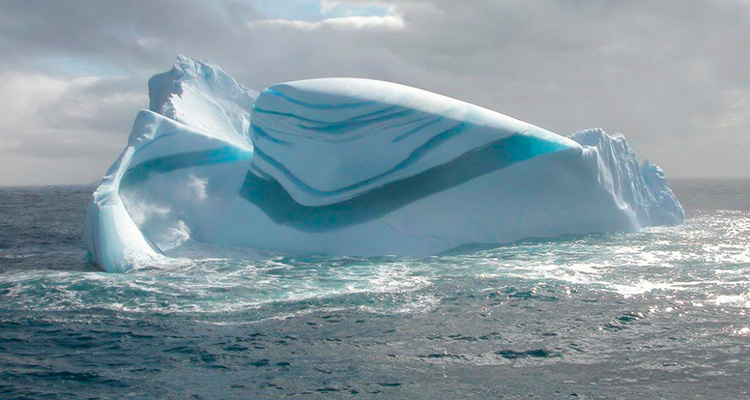 iceberg отзывы